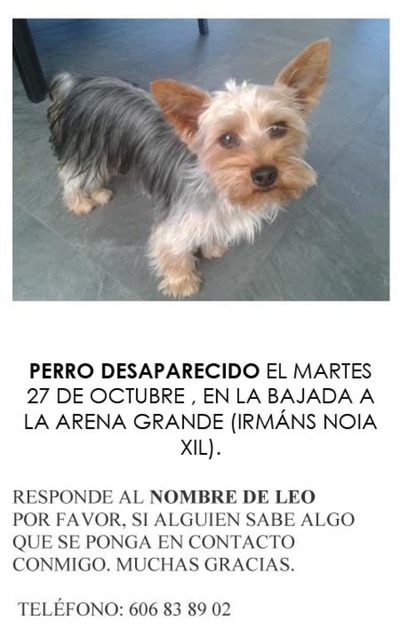 - ENCONTRADO-SE BUSCA PERRO DESAPARECIDO EN A GUARDA