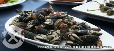 VIII FESTA DO PERCEBE E VIII GRAN CHURRASCADA