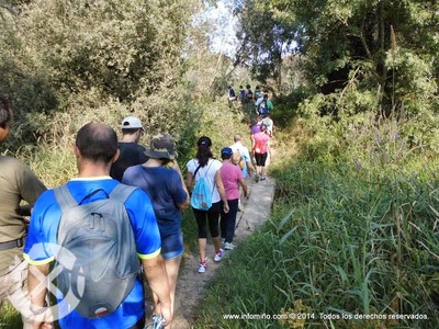 ESPECIAL - TUI ACOLLEU A ANDAINA EUROCIDADE -OS BAOS-