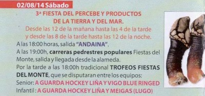 PROGRAMACIN FESTAS DO MONTE 2014 ? SBADO 2 DE AGOSTO 