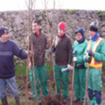ESPECIAL - ALUMNOS DO CENTRO SAN XEROME DE A GUARDA PRANTARON RBORES NO MONTE STA TREGA