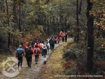 ESPECIAL - ANDAINA POLA RUTA DOS MONTES DE SAN CIBRN PR-G 132