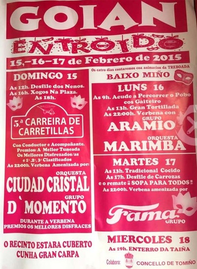 GOIN FESTEXA O ENTROIDO 2015 OS DAS 15, 16 E 17 DE FEBREIRO