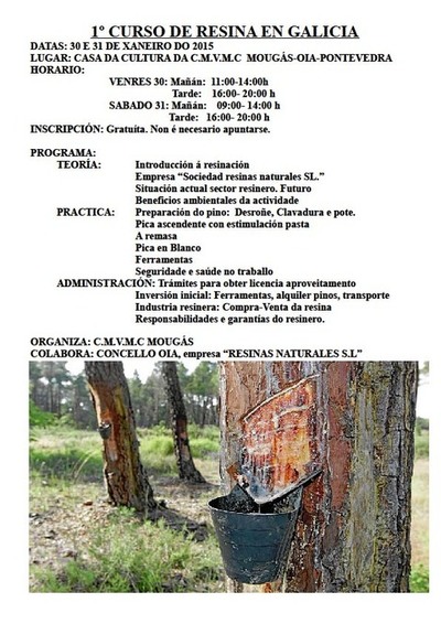 I CURSO DE RESINA EN MOUGS - OIA