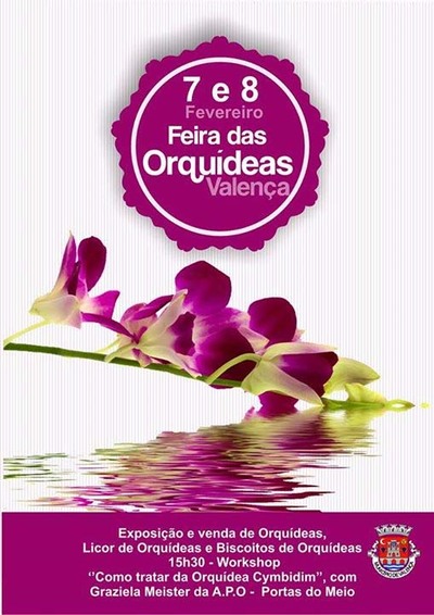 FEIRA DAS ORQUIDEAS DE 7 A 8 DE FEVEREIRO EM VALENA