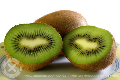 CIENTFICOS DE ASTURIAS, CANTABRIA, GALICIA, PAS VASCO E COMUNIDADE VALENCIANA COORDINAN EN AREEIRO UN PROXECTO PARA AFRONTAR A LOITA CONTRA O CHANCRO BACTERIANO DO KIWI