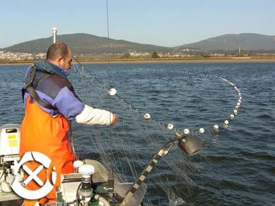 O BNG PIDE EN EUROPA A RETIRADA DA  PROPOSTA PARA PROHIBIR AS ARTES NO RO MIO