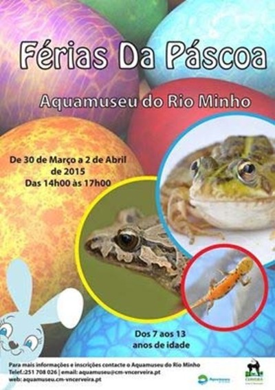 VIDA DOS ANFBIOS  TEMA PARA FRIAS DA PSCOA NO AQUAMUSEU 