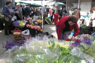 CMARA ABRE PROCEDIMENTO PARA SORTEIO DOS ESPAOS DE VENDA VAGOS NA FEIRA SEMANAL DE CAMINHA