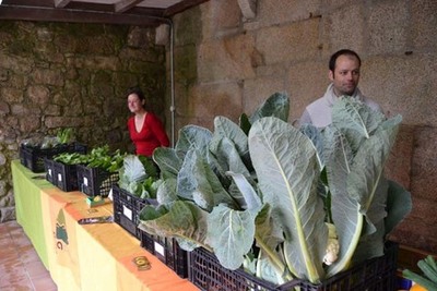 O MERCADO DA VERDURA DE TUI DA OS PRIMEIROS PASOS PARA A CREACIN DUN BANCO DE SEMENTES AUTCTONAS