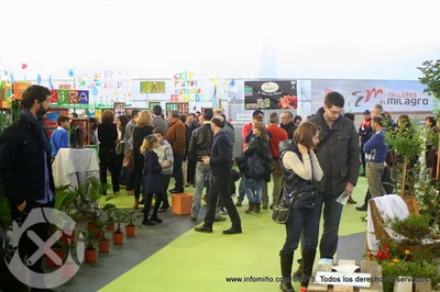 ESPECIAL - TOMIO AMOSOU O AUXE DO SECTOR DO VIVEIRISMO E A EMPRESA AUXILIAR NA XII MOSTRA DE CULTIVOS DO BAIXO MIO