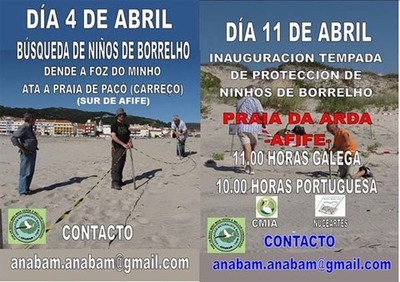 ANABAM RETOMA O PROXECTO BORRELHO NAS PRAIAS DO LITORAL NORTE DE PORTUGAL