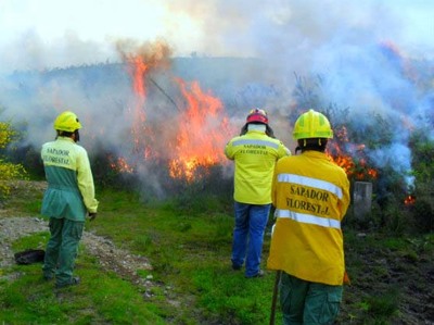 VALENA REFORA PROTEO S FLORESTAS