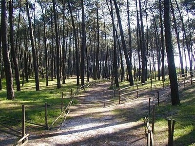 CAMINHA E A GUARDA PROMOVEM II CAMINHADA LUSO-GALAICA - POR ENTRE O MAR E A MONTANHA