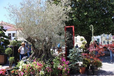 ABERTAS INSCRIES PARA O II PRIMAVERAEMCERVEIRA.COME