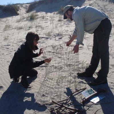  ANABAM PROTEXE OS PRIMEIROS NIOS DE BORRELHO DESTA TEMPDA EN PRAIAS PORTUGUESAS