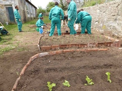 USUARIOS DE AVELAA COMIENZAN UN CURSO DE JARDINERA  ORIENTADO A LA MEJORA DE SUS POSIBILIDADES DE INSERCIN LABORAL