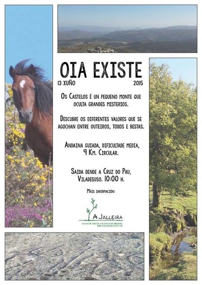 A JALLEIRA ORGANIZA UNHA ANDAINA ESTE SBADO 13 DE XUO EN OIA
