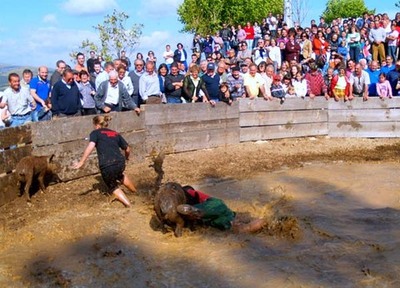 SABORES SERRANOS MANTM TRADIO DA PEGA AO PORCO