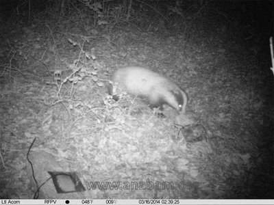  FOTOTRAMPEO DO BAIXO MIO MIS DE 26.500 FOTOGRAFAS OBTIDAS