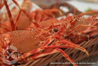 A DEPUTACIN DE PONTEVEDRA PRESENTA UN LIBRO CON TODAS AS  FESTAS DE INTERS TURSTICO INTERNACIONAL, NACIONAL E AUTONMICO DA PROVINCIA 