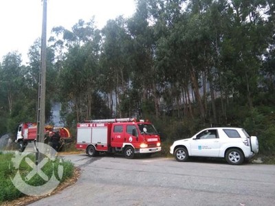 UN INCENDIO FORESTAL AFECTOU NESTA MADRUGADA  ZONA DOS MUOS DO FOLN NO ROSAL