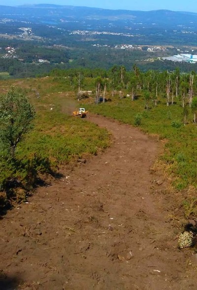 VALENA VALORIZA A FLORESTA E PROTEGE-A CONTRA INCNDIOS
