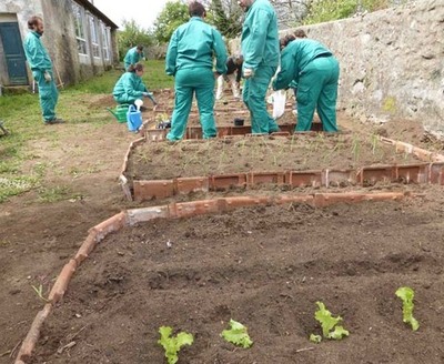 USUARIOS DE AVELA��A COMIENZAN LAS PR�CTICAS EN AYUNTAMIENTOS Y EMPRESAS DE LA ZONA