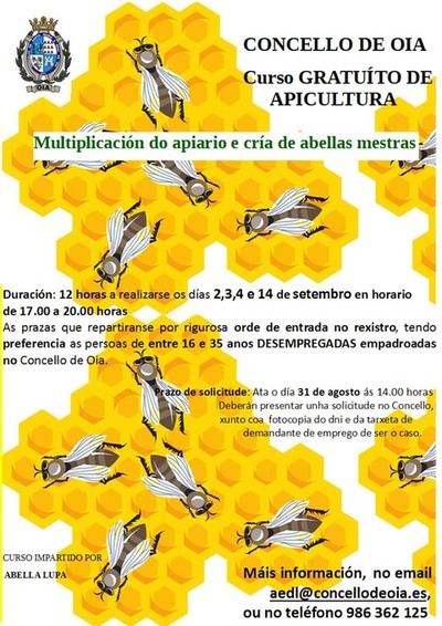 CURSO DE APICULTURA EN OIA NO MES DE SETEMBRO