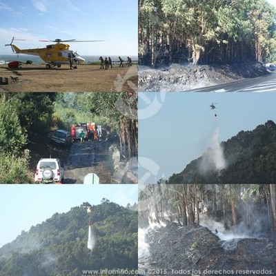 UN INCENDIO FORESTAL AFECTOU A UNHA ZONA ARBORADA NA GUARDA