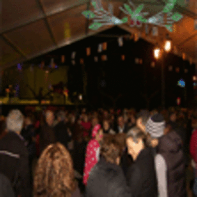 ESPECIAL - VERBENA DE ENTROIDO DOMINGO 6 EN FORNELOS-O ROSAL