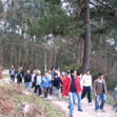 ESPECIAL - TERCEIRA ANDAINA O ROSAL. COECE O TEU CONCELLO