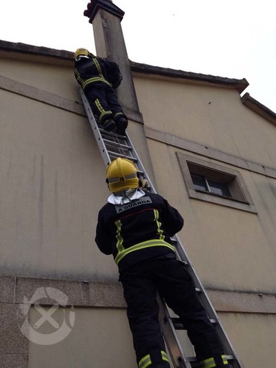 O GES DE A GUARDA RETIRA UN NOVO NIO DE VESPA ASITICA NA GUARDA