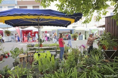ABERTAS INSCRIES PARA PARTICIPAO NA FEIRA AGRCOLA E DOS PRODUTOS TRADICIONAIS EM CAMINHA