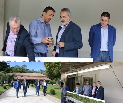 CORES TOURS VISITOU A ADEGA LAGAR DE FORNELOS DE O ROSAL PARA COMPROBAR O INICIO DA VENDIMA NA COMARCA DO BAIXO MIO