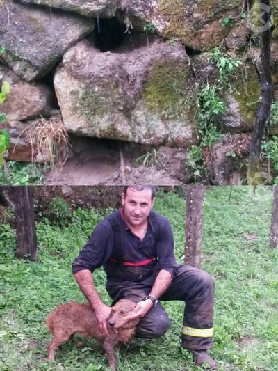 RESCATE CANINO EN TEBRA-TOMIO