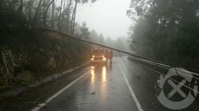 AS BRIGADAS PROVINCIAIS DE ESTRADAS ATENDERON PRETO DUNHA DUCIA DE EMERXENCIAS POR MOR DO TEMPORAL