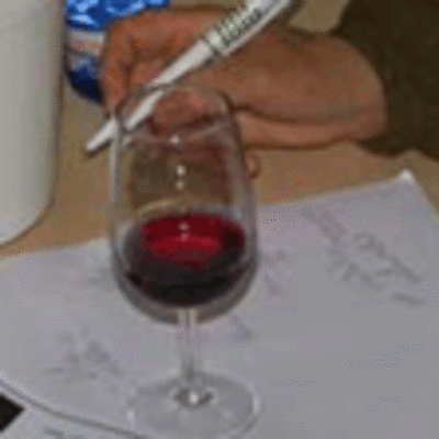 ESPECIAL - O TELECENTRO DE TUI ACOLLEU UNHA CATA DE VIO GUIADA POR TELECONFERENCIA