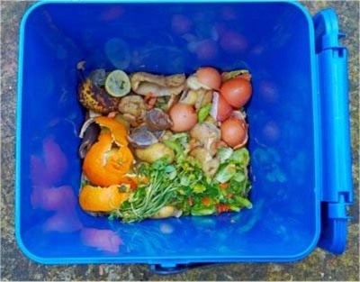 A DEPUTACIN ABRE O PRAZO DE PREINSCRICION PARA AS BOLSAS DE MESTRES COMPOSTEIROS 