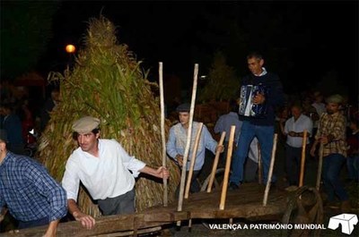 DESFOLHADA COM VINHOS E PETISCOS EM VALENA