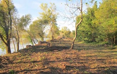 LIMPEZA DA PRAIA DA LENTA E REA ENVOLVENTE EM VILANOVA DE CERVEIRA