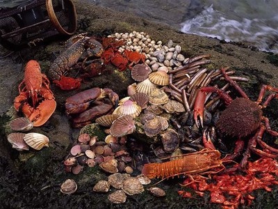 ABERTA A CAMPAA EXTRACTIVA DA CENTOLA E DO BOI NA PARTE LITORAL QUE VAI DENDE CABO CORRUBEDO ATA A GUARDA