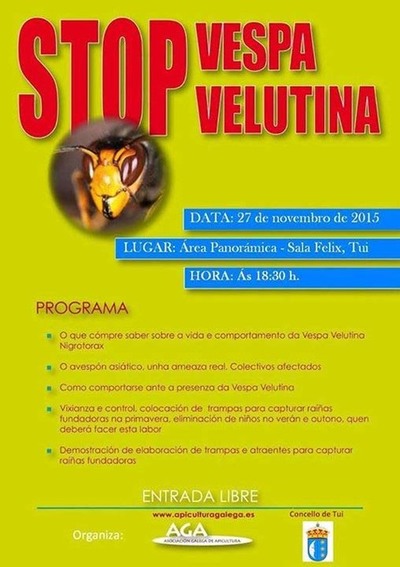 CHARLA -STOP VESPA VELUTINA- O 27 DE NOVEMBRO EN TUI