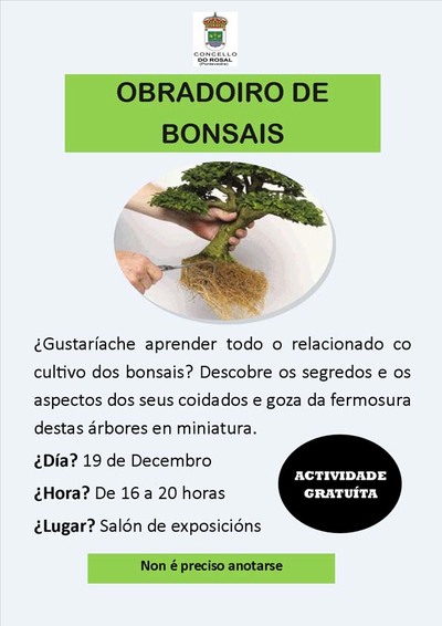 O ROSAL OFERTA UN OBRADOIRO DE BONSAIS