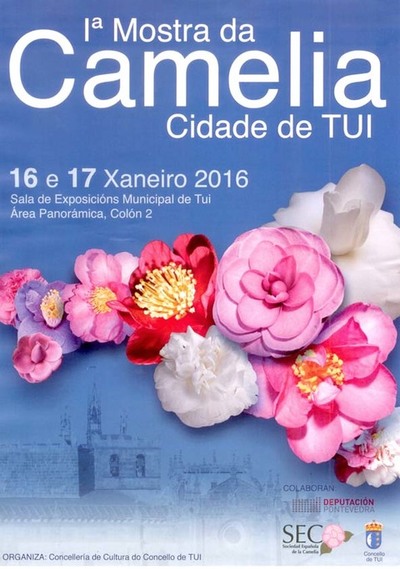 O ALCALDE DE TUI INAUGURA MESTE SBADO A I MOSTRA DA CAMELIA CIDADE DE TUI