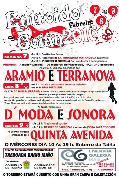 GOIN FESTEXA O ENTROIDO OS DAS 7, 8 E 9 DE FEBREIRO DE 2016