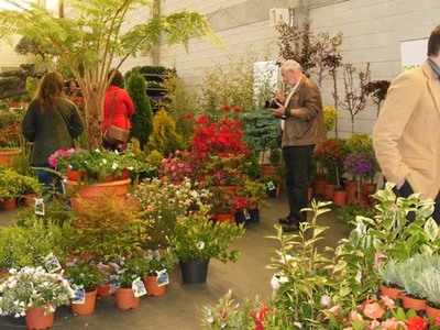 O CONCELLO DE TOMIO E ACUBAM ACHEGAN PROPOSTAS DE DINAMIZACIN DO SECTOR DO VIVEIRISMO A CONSELLEIRA DE MEDIO RURAL