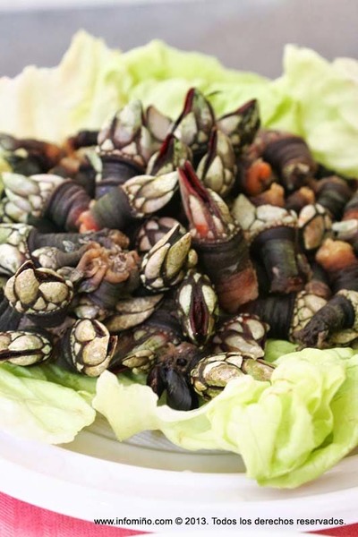 A CONSELLERA DO MAR REGULA POR PRIMEIRA VEZ A EXPLOTACIN DOS RECURSOS ESPECFICOS EN CONXUNTO NO LITORAL GALEGO