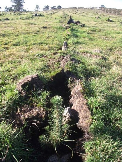 DENUNCIAN AGRESIN NUN DOS ESPAZOS DE MAIOR VALOR ECOLXICO DA SERRA DA GROBA