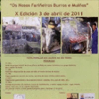 X EDICIN -OS NOSOS FARIEIROS BURROS E MUIOS- 3 DE ABRIL EN TUI 